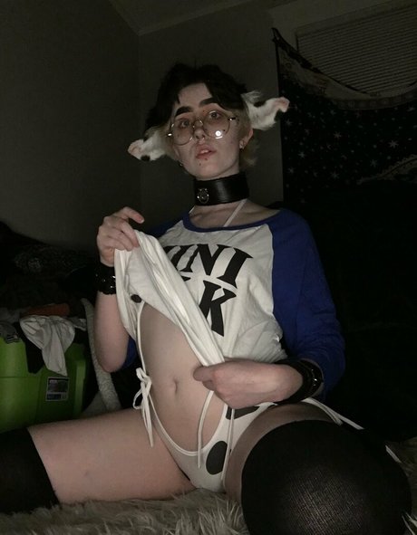 Catboibloosy photo 41