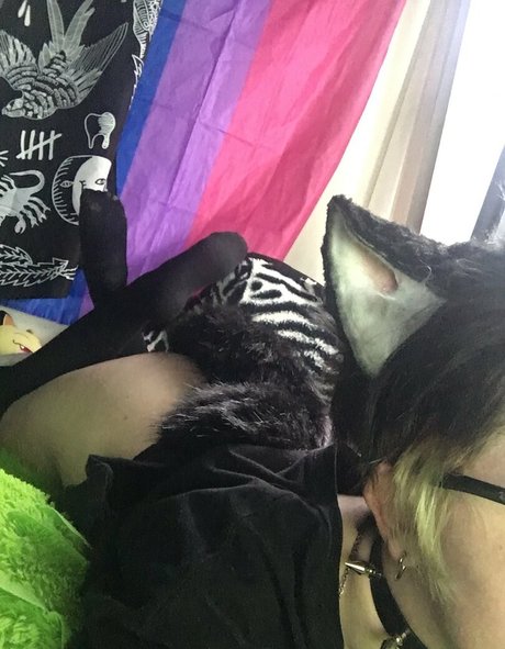 Catboibloosy photo 81
