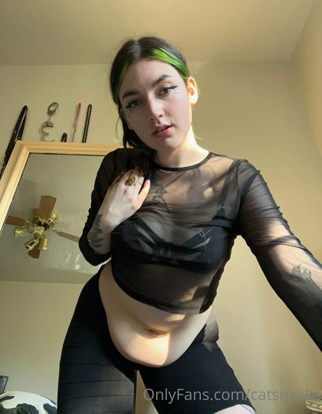 Catsncake photo 187