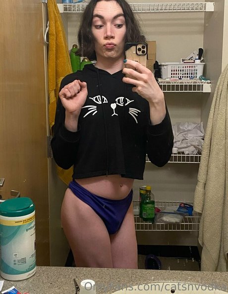 Catsnvodka photo 24