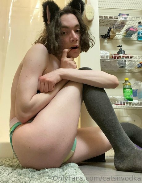 Catsnvodka photo 35