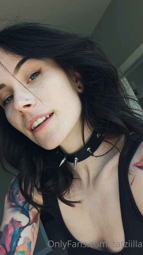 Catziilla photo 401