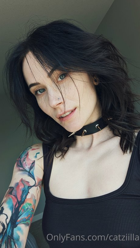 Catziilla photo 419