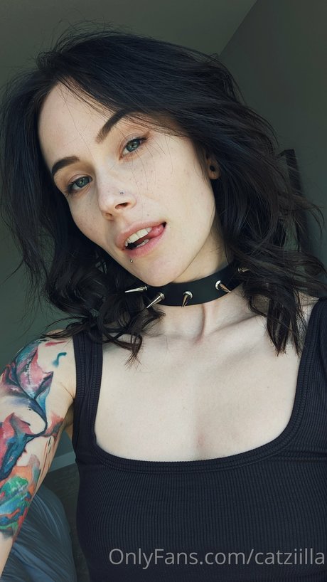 Catziilla photo 427