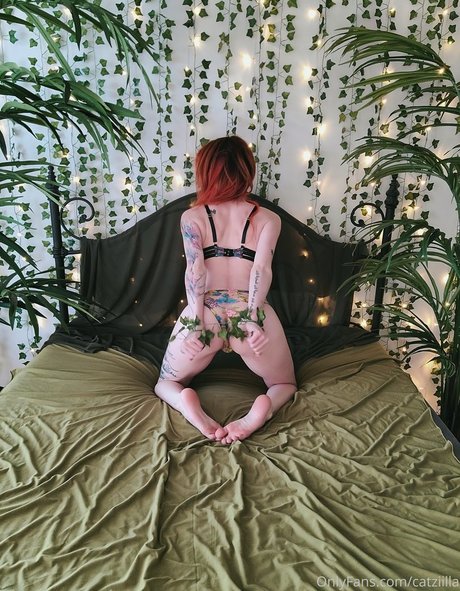 Catziilla photo 776