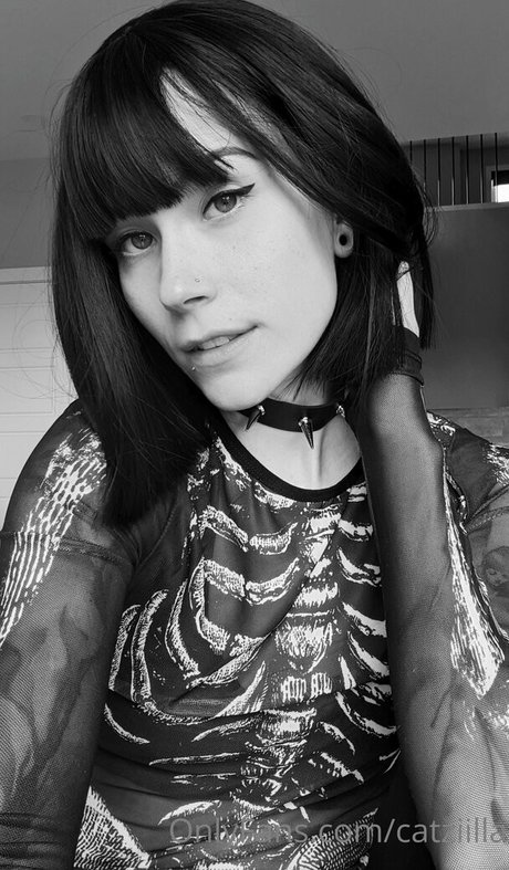 Catziilla photo 1031