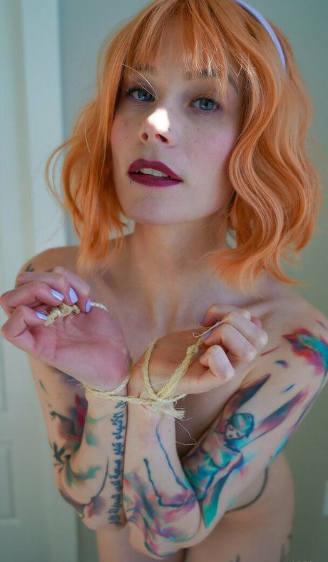 Catziilla photo 1104