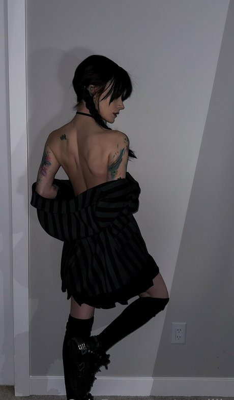 Catziilla photo 1173