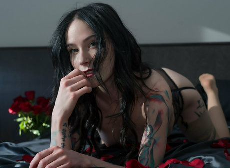 Catziilla photo 1255