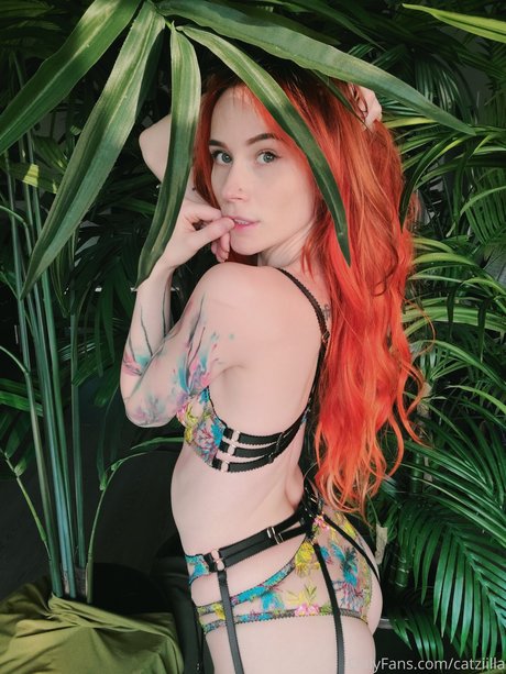 Catziilla photo 1271
