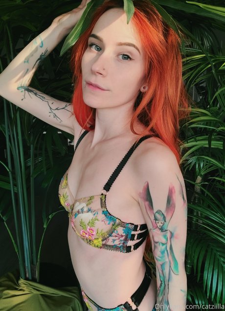 Catziilla photo 1296