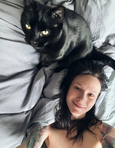 Catziilla photo 1298