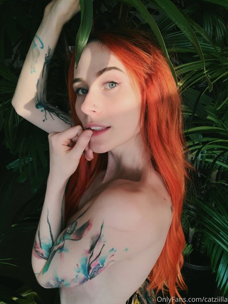 Catziilla photo 1303