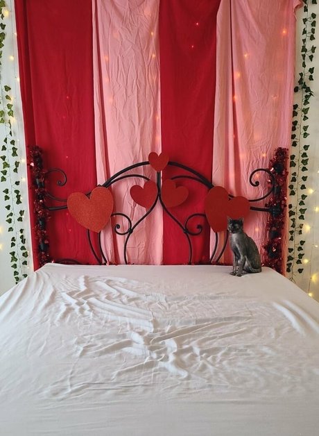 Catziilla photo 1318