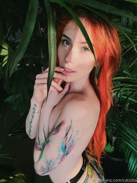 Catziilla photo 1320