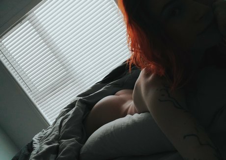 Catziilla photo 1326