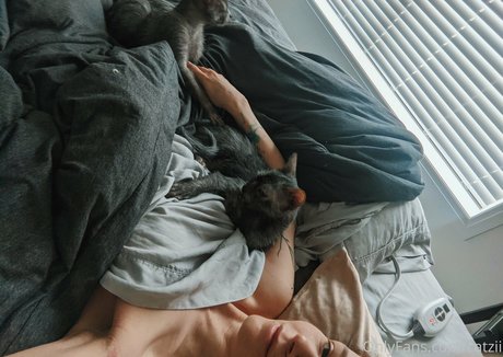 Catziilla photo 1334