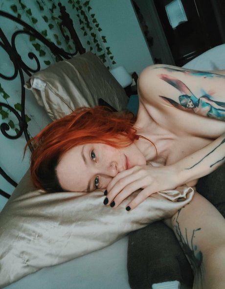 Catziilla photo 1336