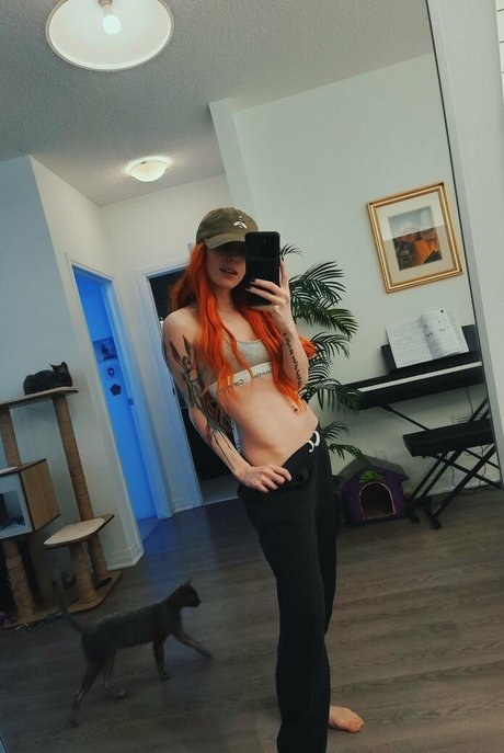 Catziilla photo 1339