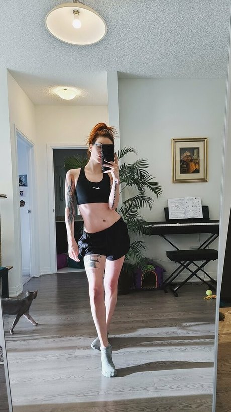 Catziilla photo 1351