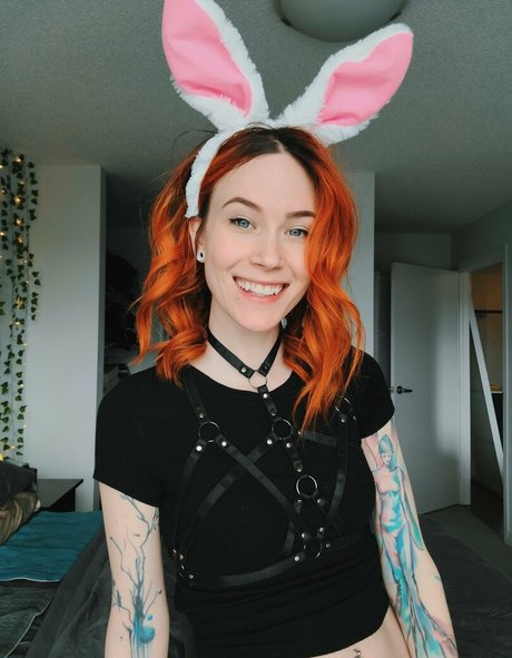 Catziilla photo 1361