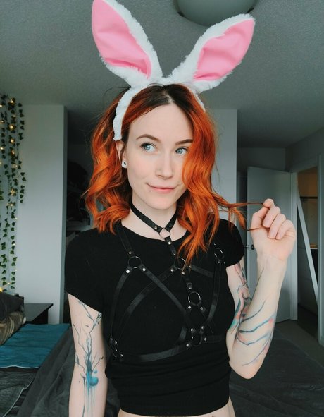 Catziilla photo 1362