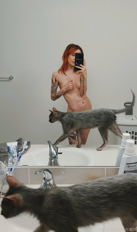Catziilla photo 1380