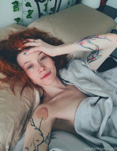 Catziilla photo 1389