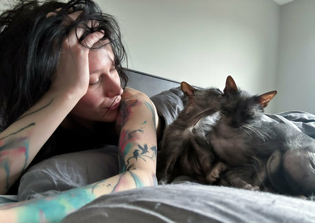 Catziilla photo 1446