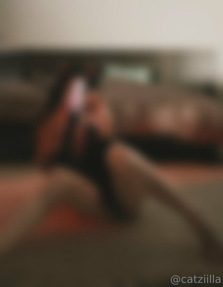 Catziilla photo 1503