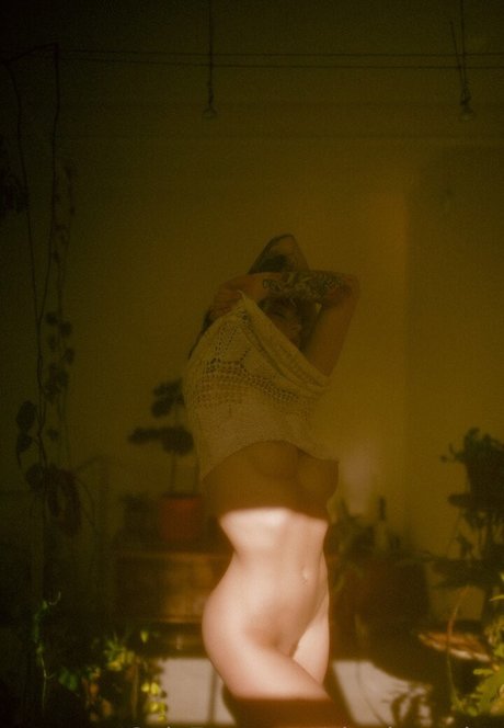 Charlottesins photo 101