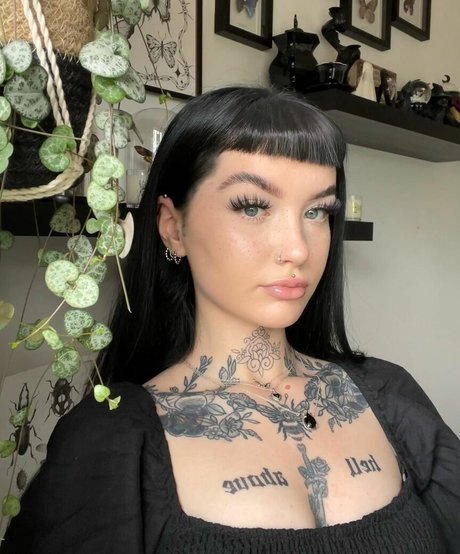Profile photo of Charwaldockx