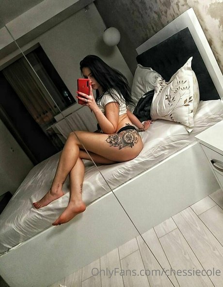 Chessiecole photo 16