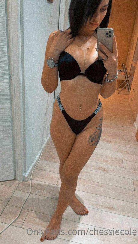 Chessiecole photo 116