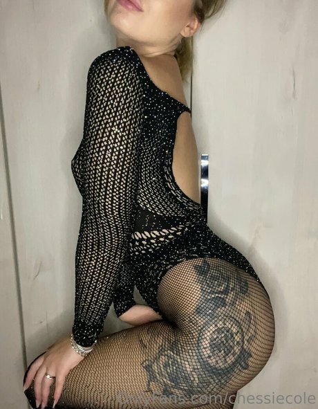 Chessiecole photo 166