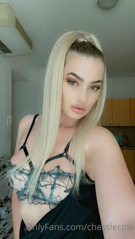 Chessiecole photo 247