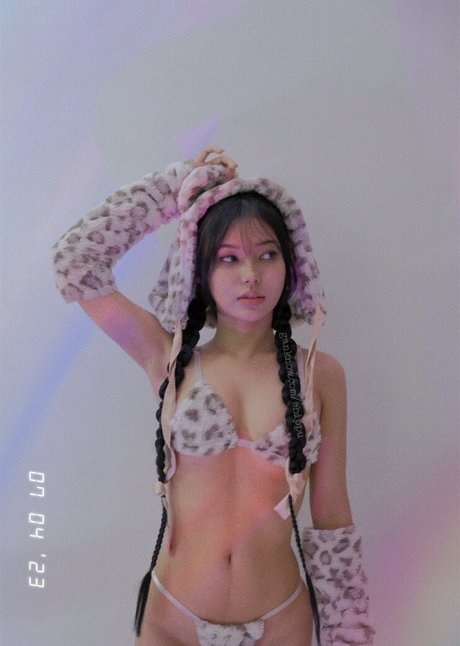 Chippu photo 7