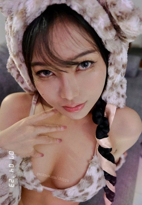 Chippu photo 34