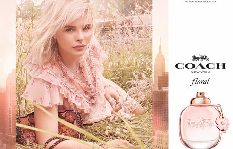 Chloe Grace Moretz photo 438