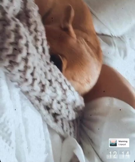 Chloe C photo 18