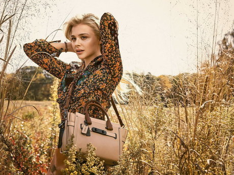 Chloe Grace Moretz photo 345
