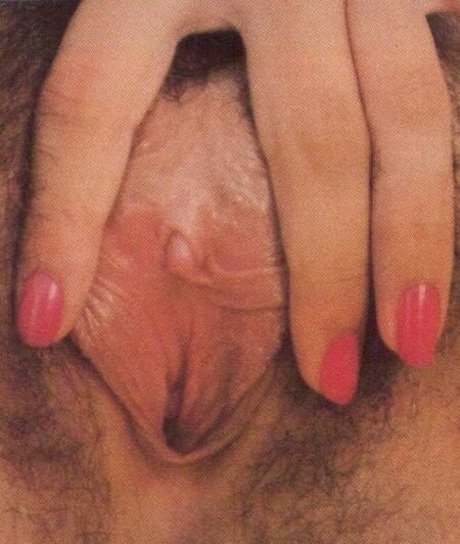 Christy Canyon photo 266