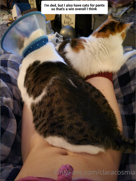 Clara Cosmia photo 39