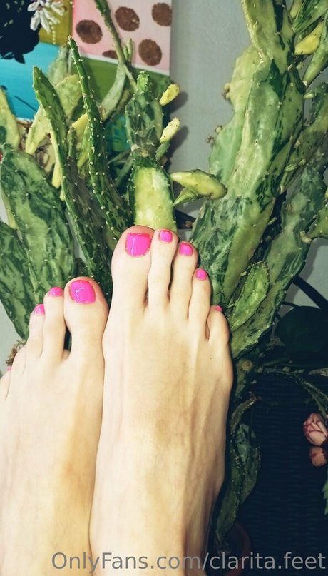 Clarita.feet photo 90