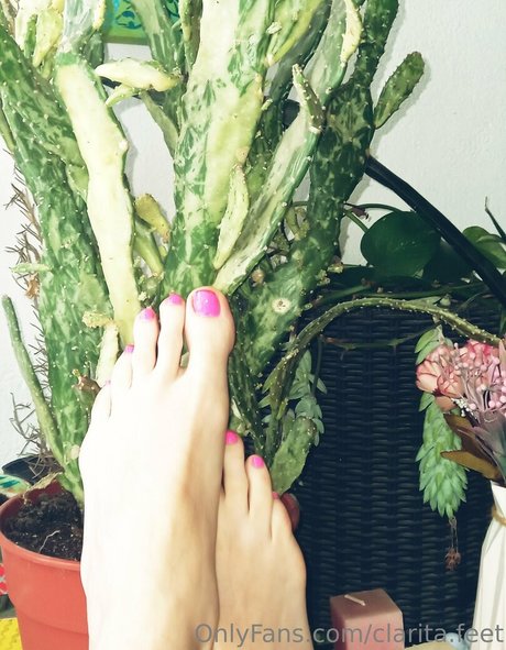 Clarita.feet photo 91