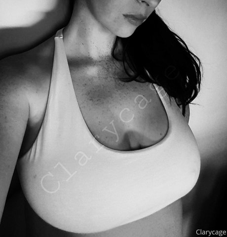 Clarycage photo 17