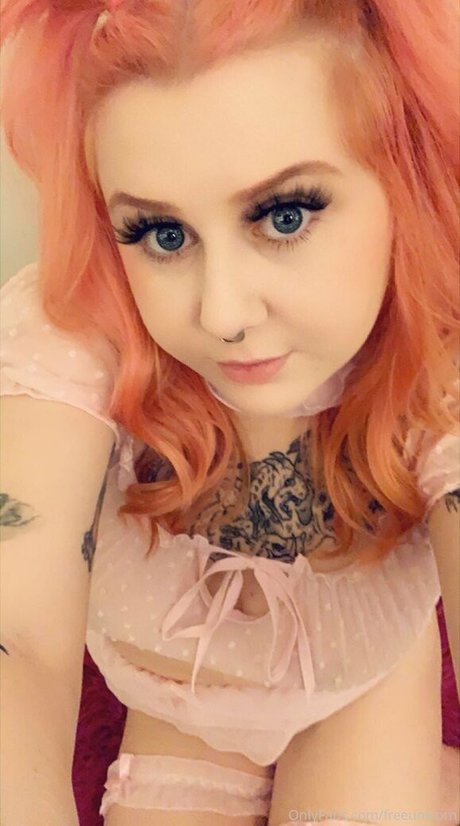 Climbmickeymountain photo 9