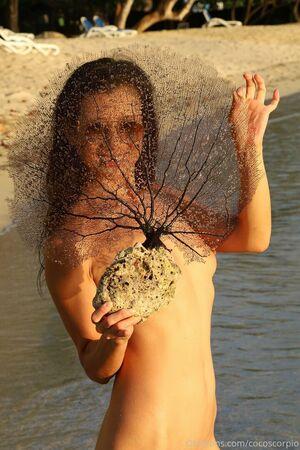 Cocoscorpio photo 6