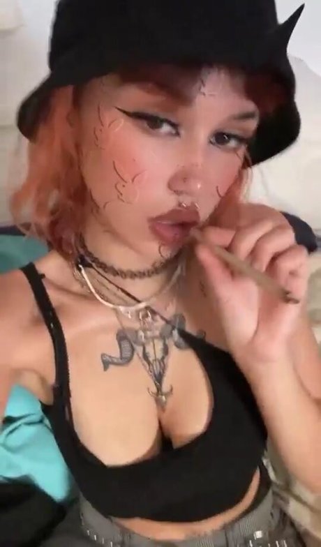 Coklea photo 4