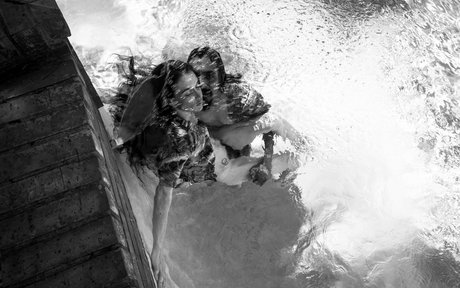 _creature_feature photo 136